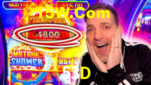 53D